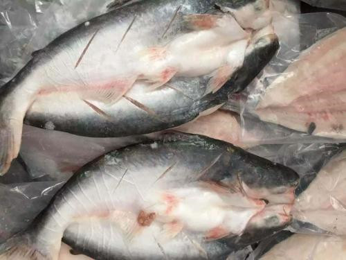 越南巴沙魚進口報關代理流程手續(xù)以及費用