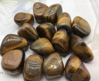 上海進口德國?；穲箨P(guān)的注意事項